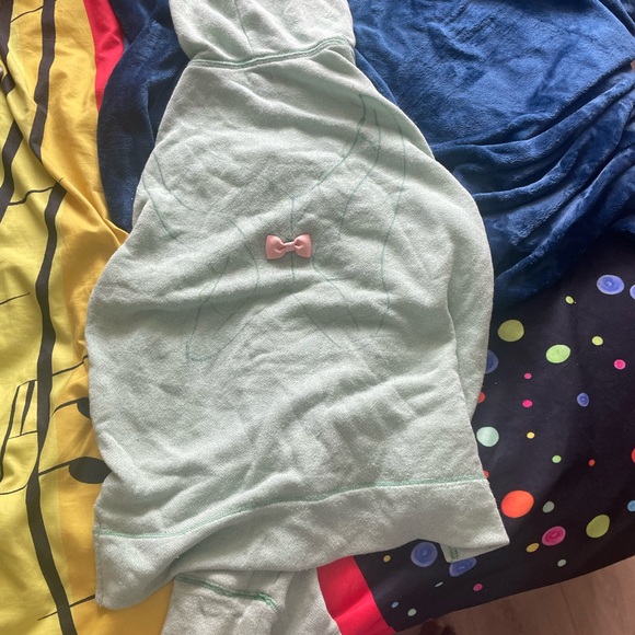 Green aerie hoodie with flora decor I added to the hoodie myself - Picture 4 of 4